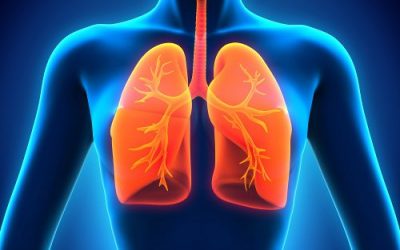 Respiratory Physio 400x250 - Resources