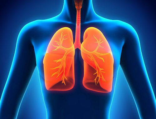 Respiratory Physio - (Physio) Respiratory Physio