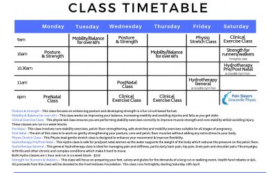 Blue Simple Class Schedule 400x250 - Resources